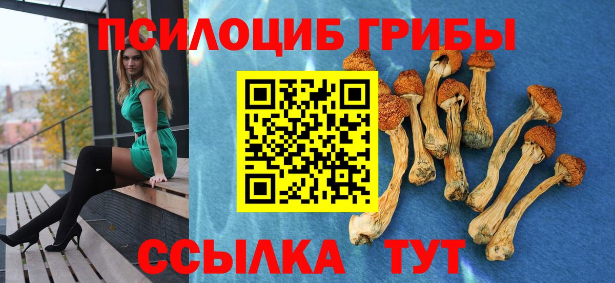 Псилоцибиновые грибы Magic Shrooms Холмск