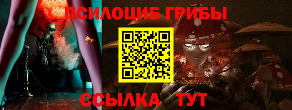 Холмск  Псилоцибиновые грибы мицелий  Псилоцибиновые грибы ЛСД  Вход с VPN 